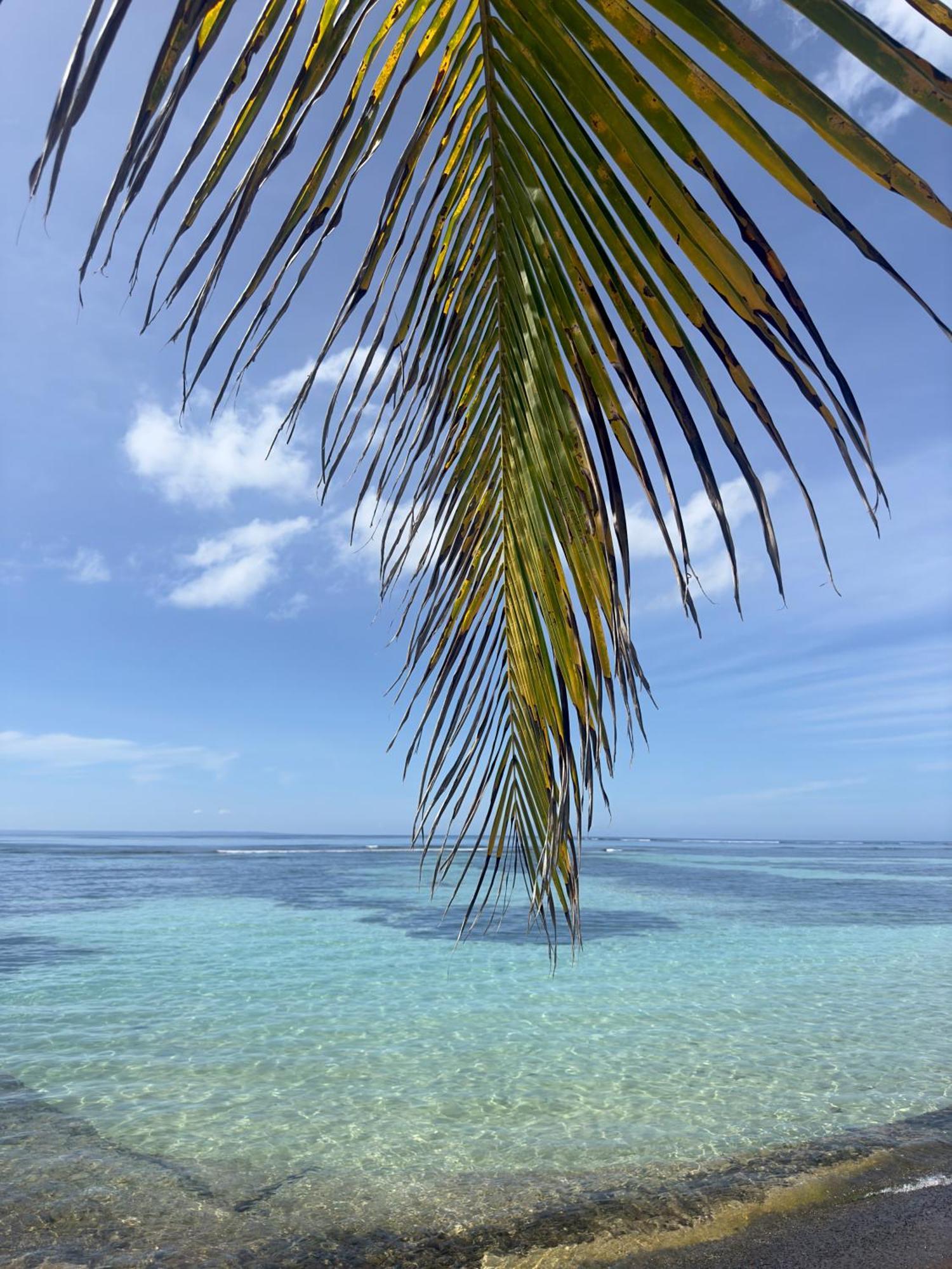 Unique : Pieds Dans L'Eau Face Au Lagon Sainte-Anne  Bagian luar foto